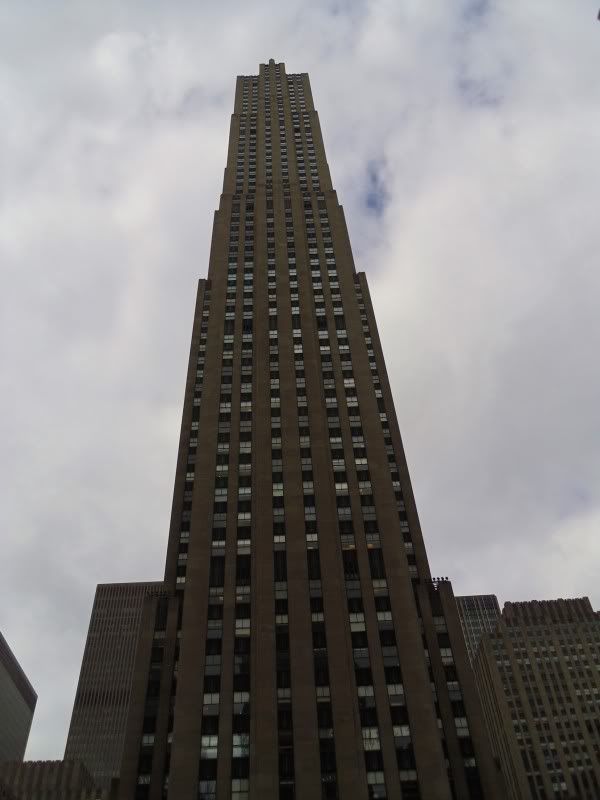 SAM_0229.jpg