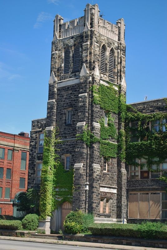 DSC_0036_zpshvjmewzi.jpg