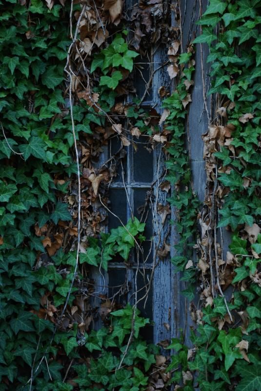 DSC_0084_zpse5e769b2.jpg