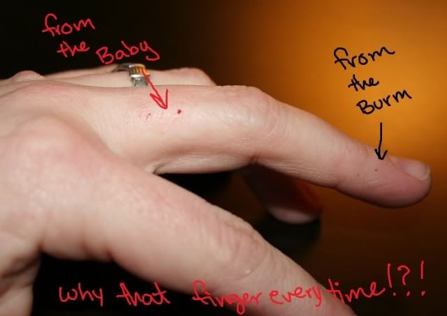 Ladybird011.jpg