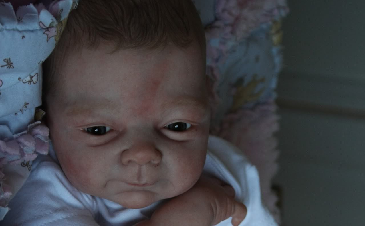 denise farmer reborn dolls