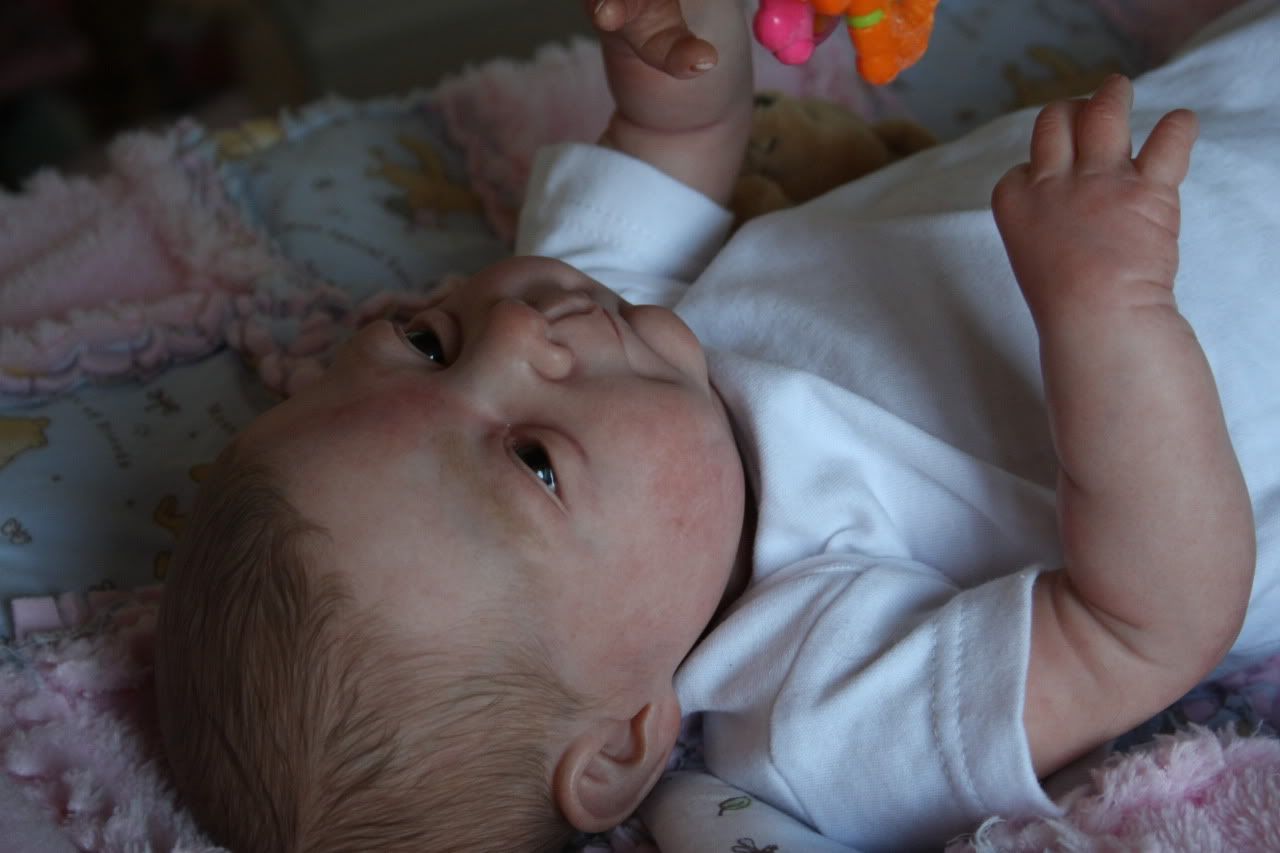 denise farmer reborn dolls