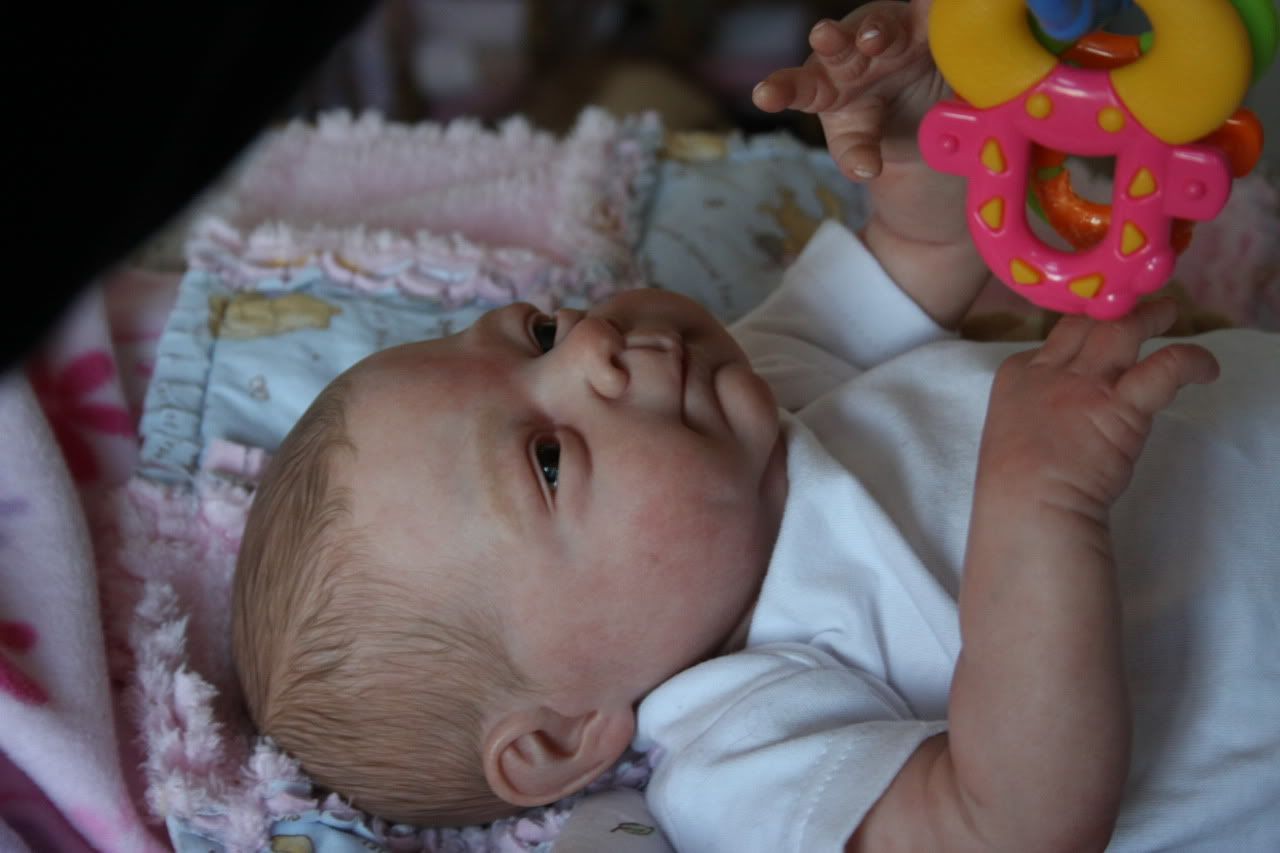 denise farmer reborn dolls