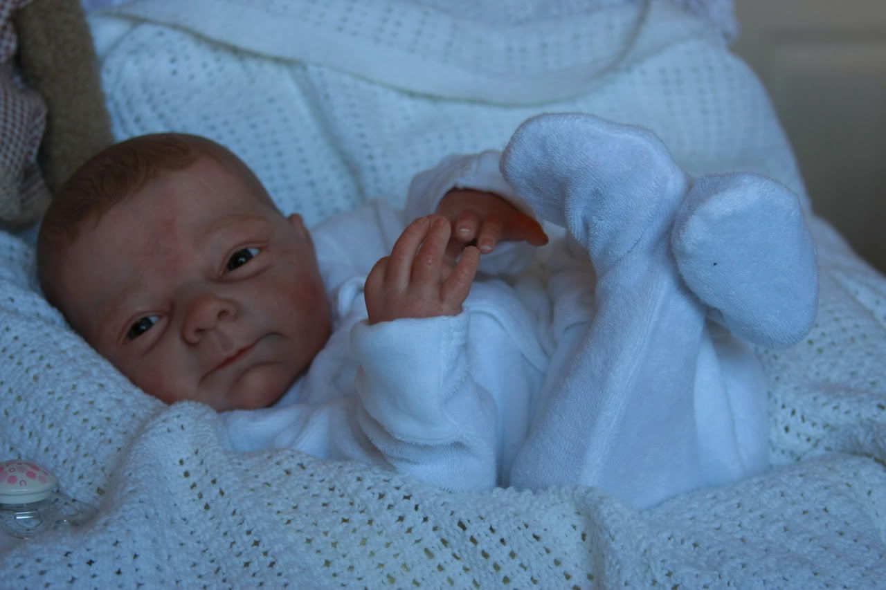 denise farmer reborn dolls