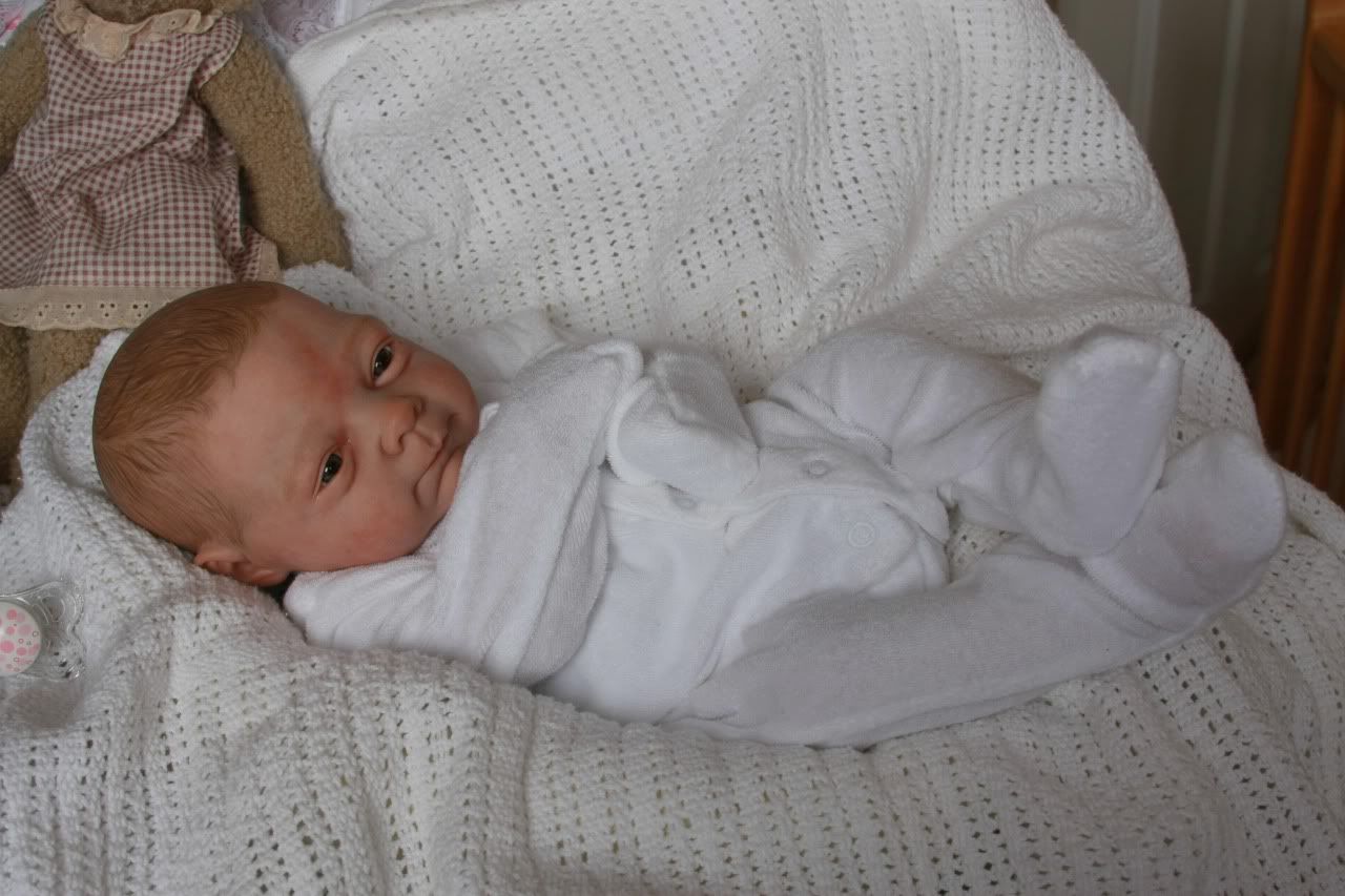 denise farmer reborn dolls