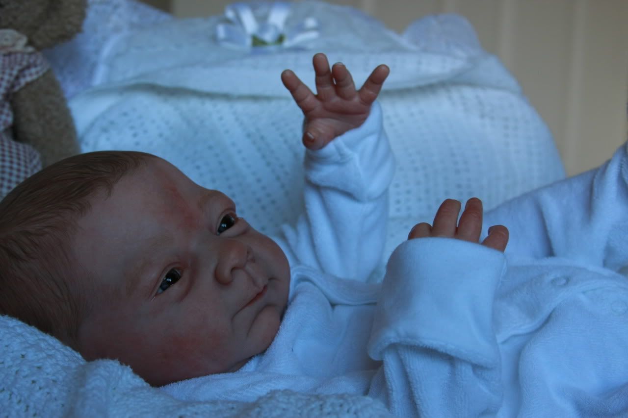 denise farmer reborn dolls