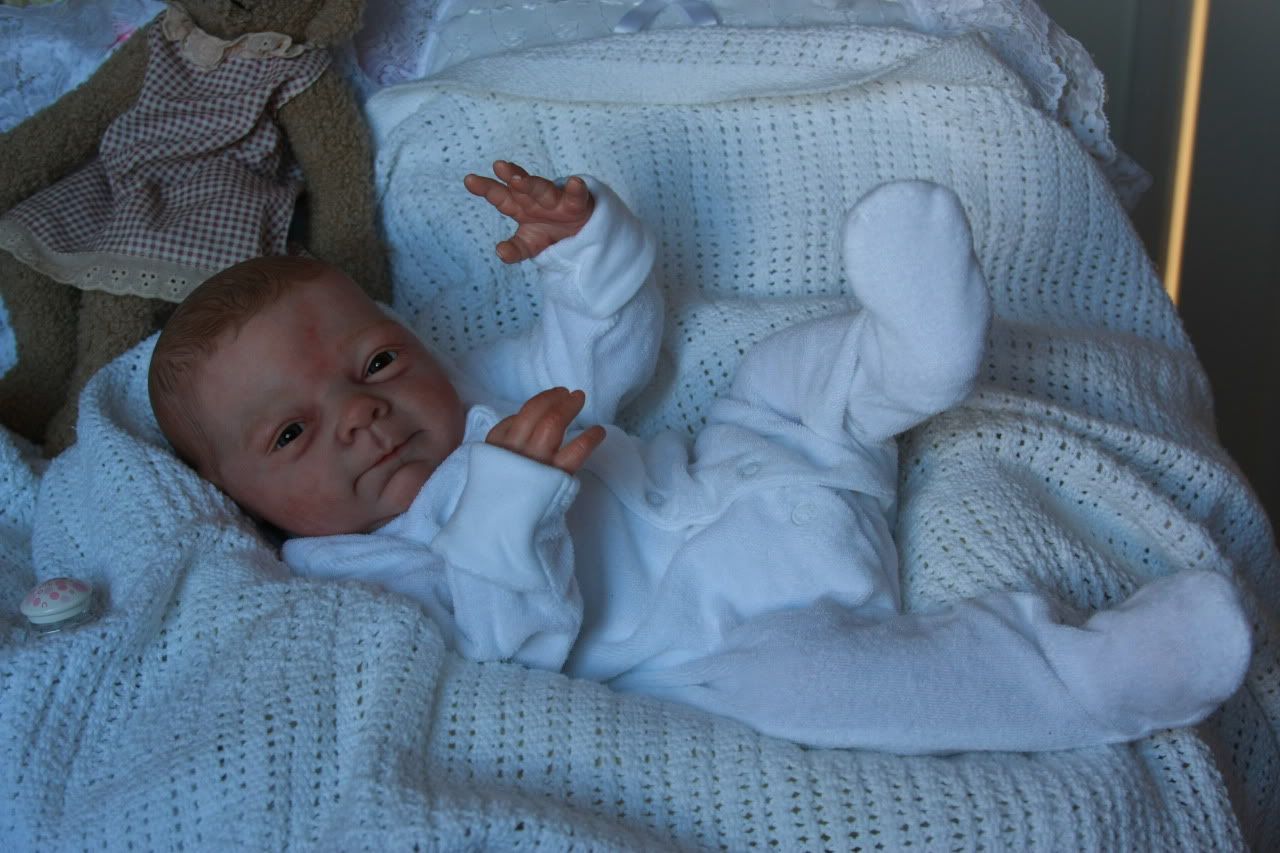 denise farmer reborn dolls