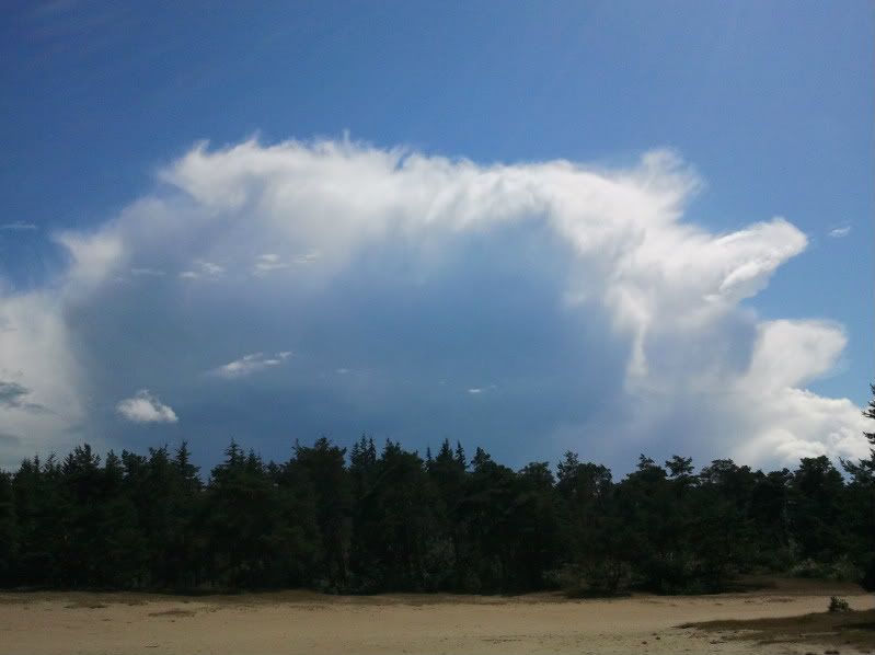 2011-08-08150614.jpg