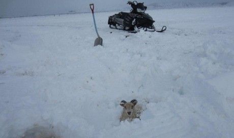 myvatn_7.jpg
