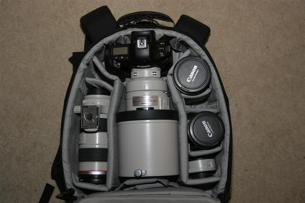 IMAGE: http://i33.photobucket.com/albums/d67/panclan/POTN/IMG_0728Large.jpg