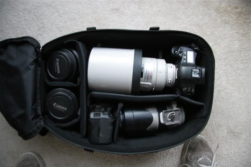 IMAGE: http://i33.photobucket.com/albums/d67/panclan/POTN/IMG_0733Medium.jpg