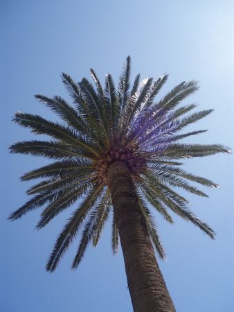 alassio11.jpg picture by luukislief