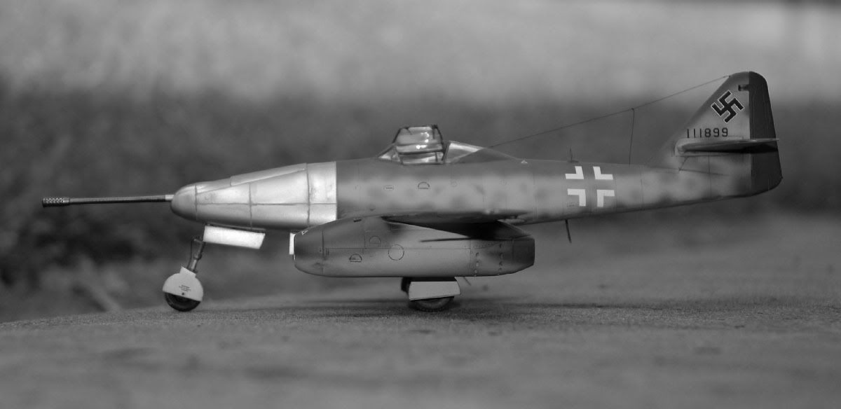 DSC_1891x3Abw.jpg
