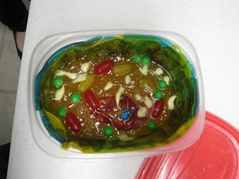 The incredible edible animal cell.