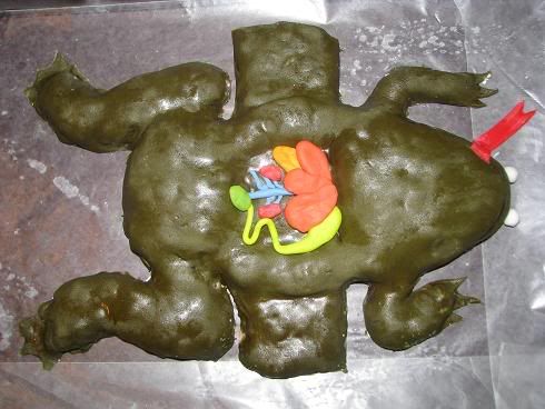 dissecting frog. Dissected Frog Cake