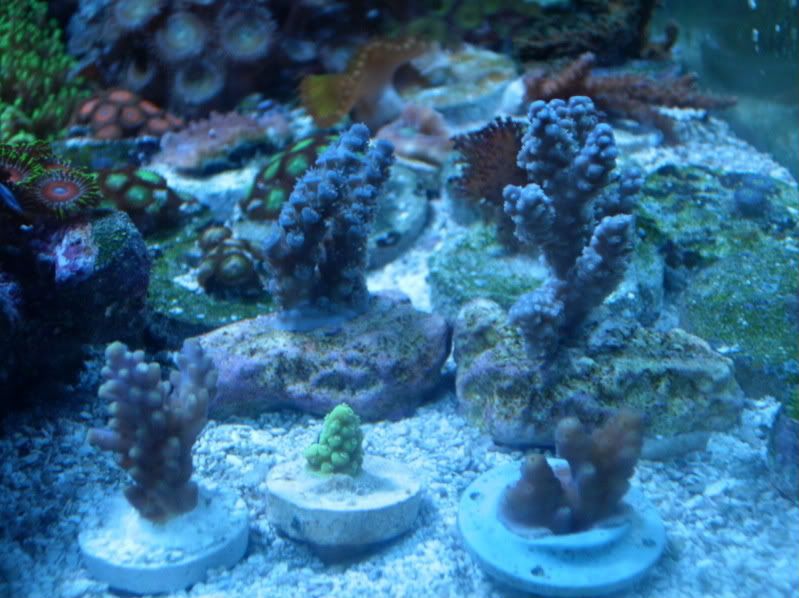 GEDC0212.jpg
