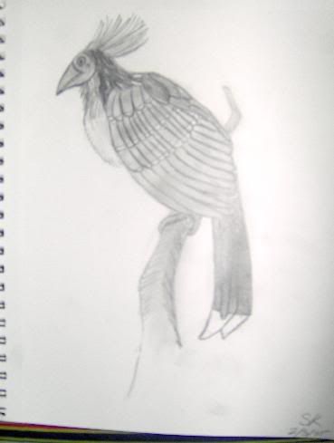 <img:http://i33.photobucket.com/albums/d71/SocialReject/Drawings%20and%20Such/birddd.jpg>