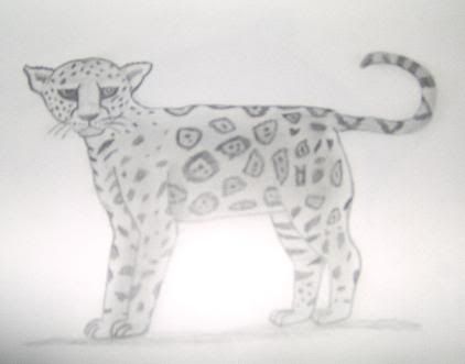 <img:http://i33.photobucket.com/albums/d71/SocialReject/Drawings%20and%20Such/cat.jpg>