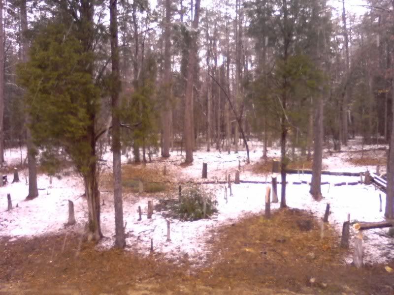 0302001639a.jpg