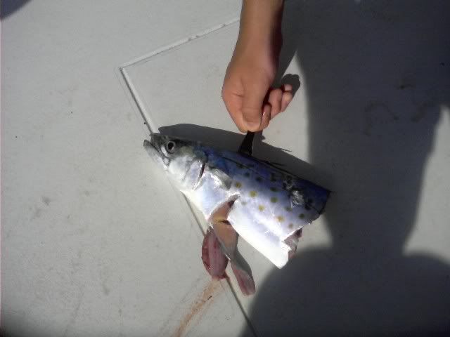 0807000928.jpg