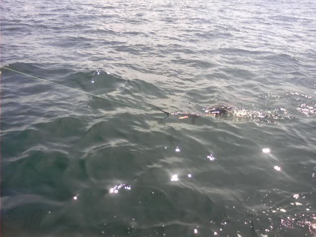 0807001148.jpg