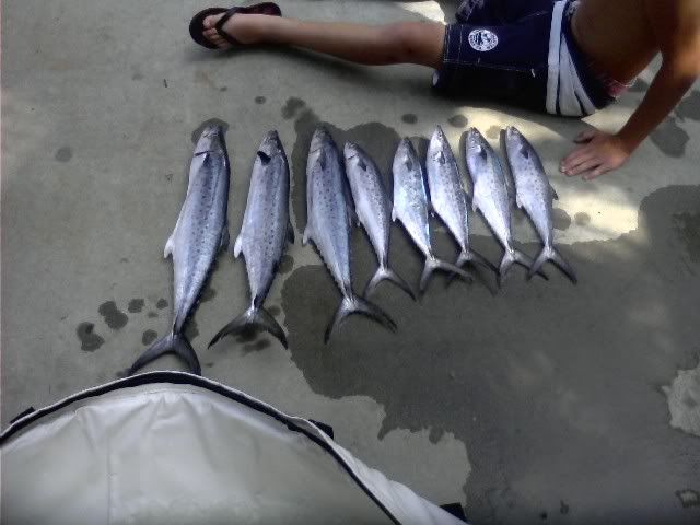 0807001542.jpg