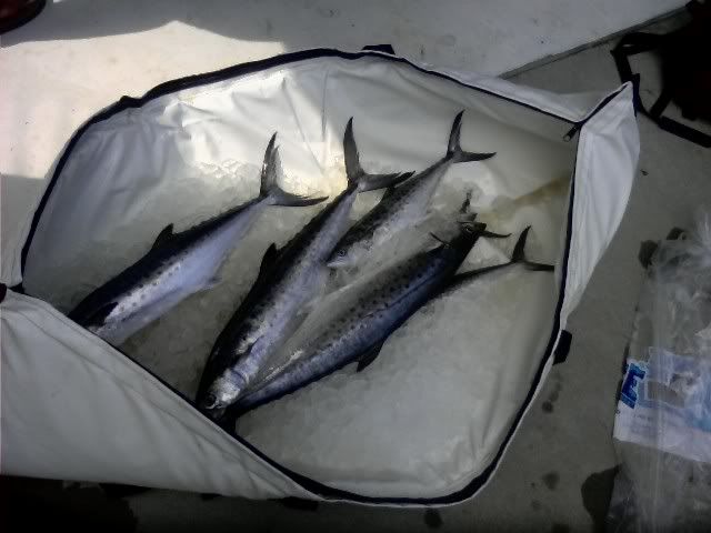 0807001545.jpg