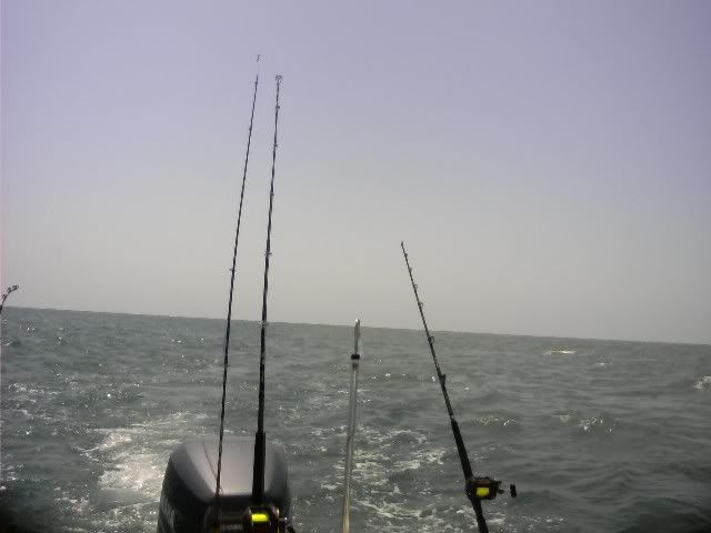 0808001246.jpg