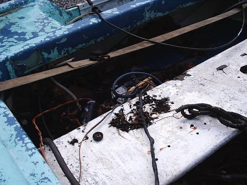 S2010020-4.jpg