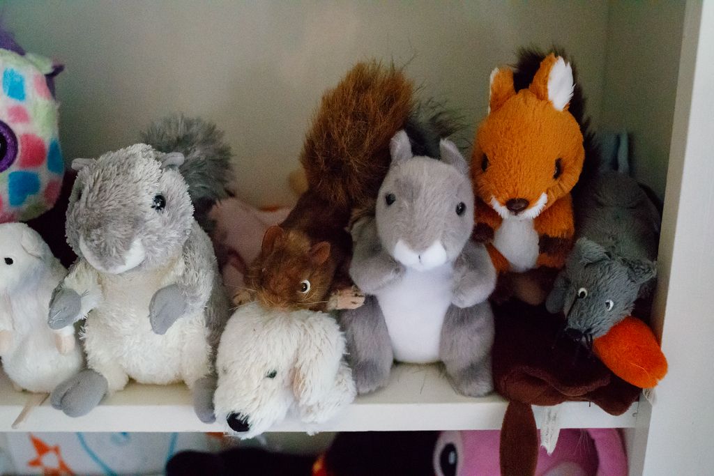 IMAGE: http://i33.photobucket.com/albums/d74/Zenon1/1DX/low_zpsccvrrrit.jpg~original