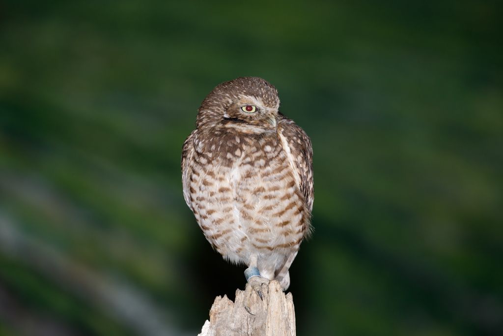 IMAGE: http://i33.photobucket.com/albums/d74/Zenon1/5D4/Crops/qwer_zpsrxset0j6.jpg~original