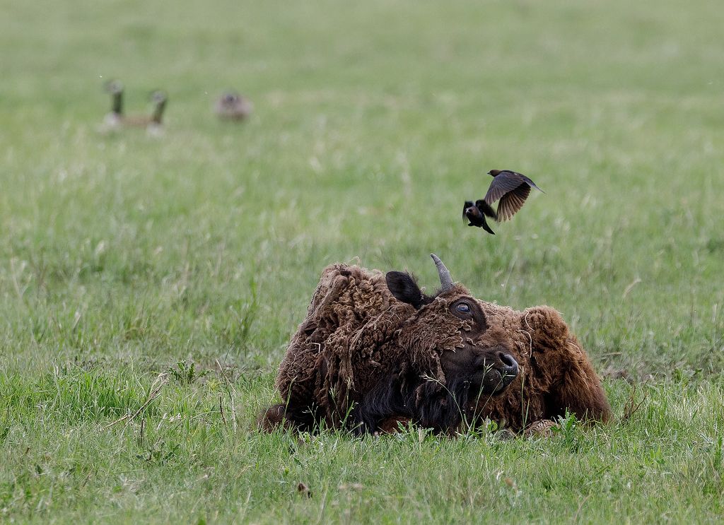 IMAGE: http://i33.photobucket.com/albums/d74/Zenon1/5D4/FW%20J%2011%20ACR/ACR3_zpshhpiuwys.jpg~original