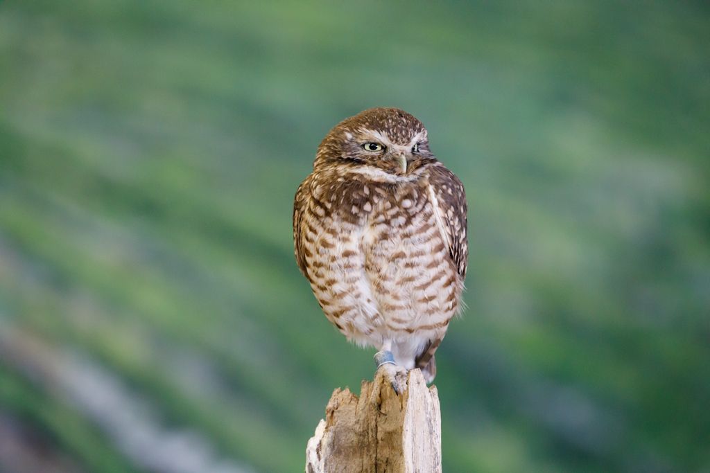 IMAGE: http://i33.photobucket.com/albums/d74/Zenon1/5D4/Fort%20White/6400_zpsixhny2yl.jpg~original