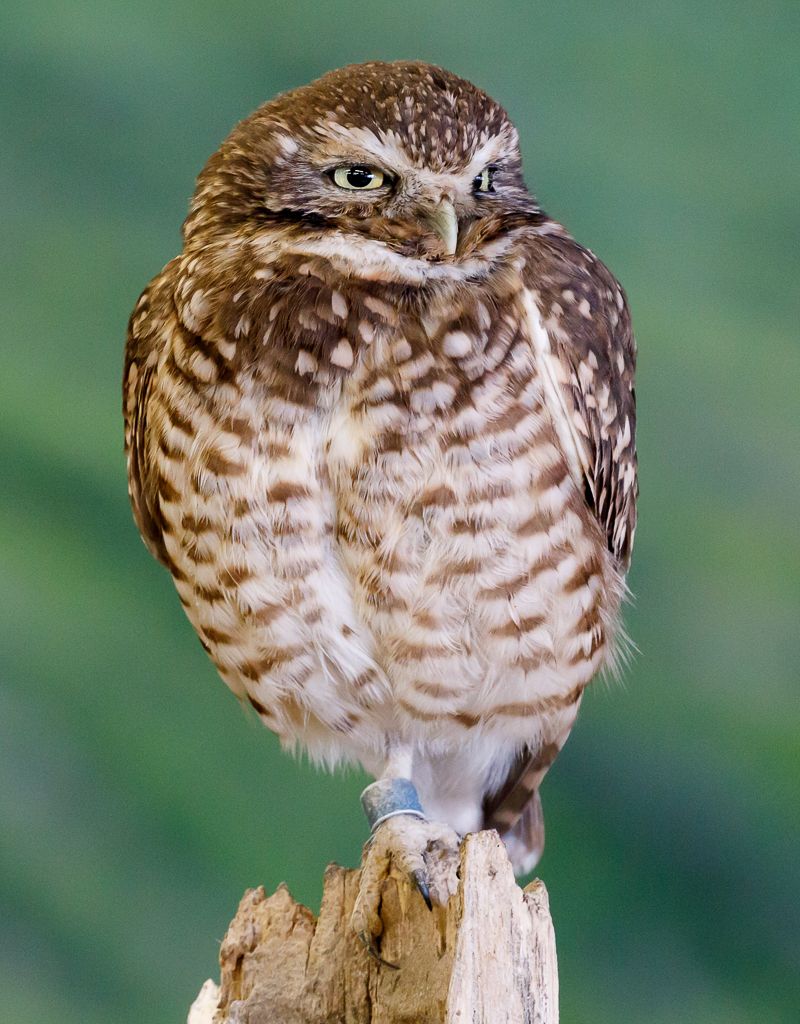 IMAGE: http://i33.photobucket.com/albums/d74/Zenon1/5D4/Fort%20White/LR_zps3iombobm.jpg~original