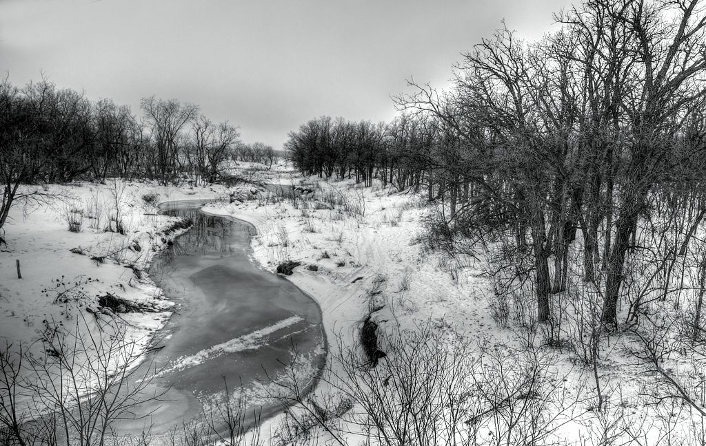 IMAGE: http://i33.photobucket.com/albums/d74/Zenon1/5D4/Jan%2028/_I9A3168_Painterly-2_zpsul4syzhr.jpg~original