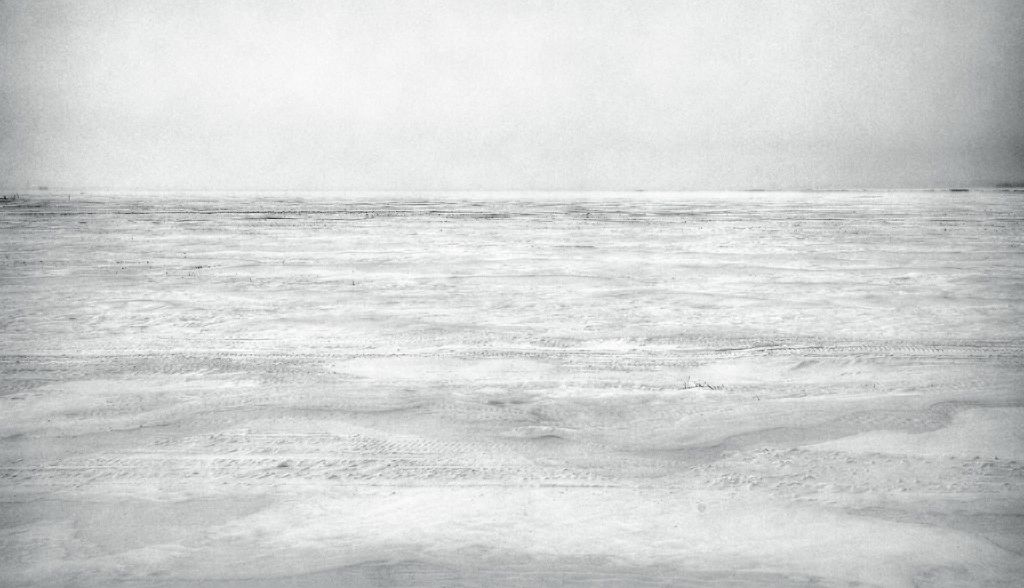 IMAGE: http://i33.photobucket.com/albums/d74/Zenon1/5D4/Jan%2028/_I9A3174_Painterly-2_zpsvkxie1zt.jpg~original