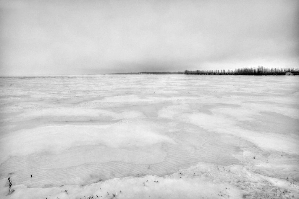 IMAGE: http://i33.photobucket.com/albums/d74/Zenon1/5D4/Jan%2028/_I9A3179_Painterly_zpsnepnhhjx.jpg~original