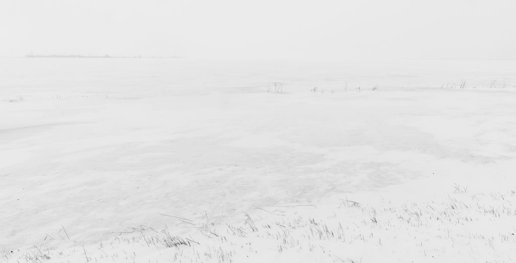 IMAGE: http://i33.photobucket.com/albums/d74/Zenon1/5D4/Jan%2028/_I9A3181_zpswqa1is6u.jpg~original