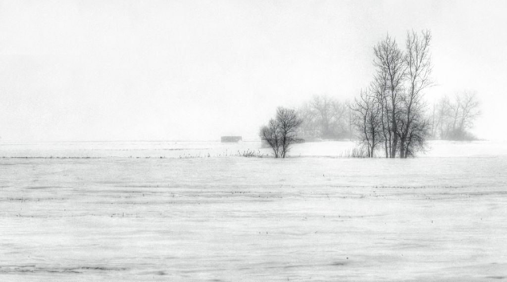 IMAGE: http://i33.photobucket.com/albums/d74/Zenon1/5D4/Jan%2028/_I9A3195_Painterly-2_zpslcbygcmw.jpg~original