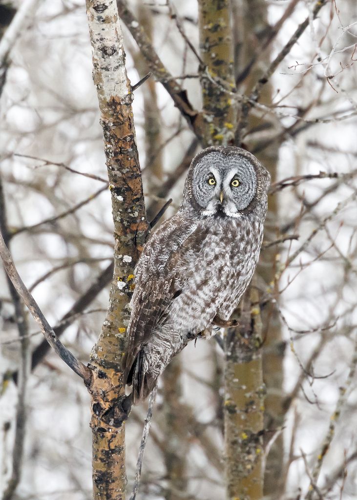 IMAGE: http://i33.photobucket.com/albums/d74/Zenon1/5D4/_I9A3152-Edit_zpspoxf7ovx.jpg~original