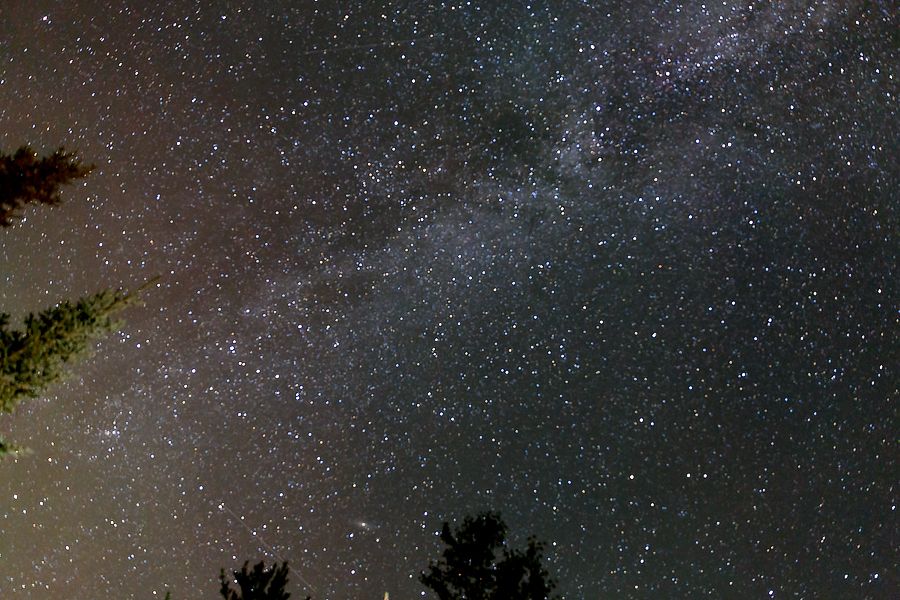 IMAGE: http://i33.photobucket.com/albums/d74/Zenon1/7D2/5D3/_S7A6436_zpspej7h1uo.jpg~original