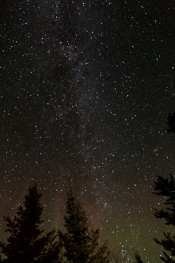 IMAGE: http://i33.photobucket.com/albums/d74/Zenon1/7D2/5D3/_S7A6445_zpskue2cxie.jpg~original