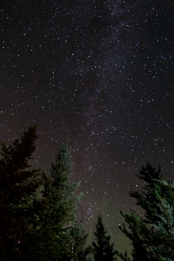 IMAGE: http://i33.photobucket.com/albums/d74/Zenon1/7D2/5D3/_S7A6446_zpskvlgtfyg.jpg~original