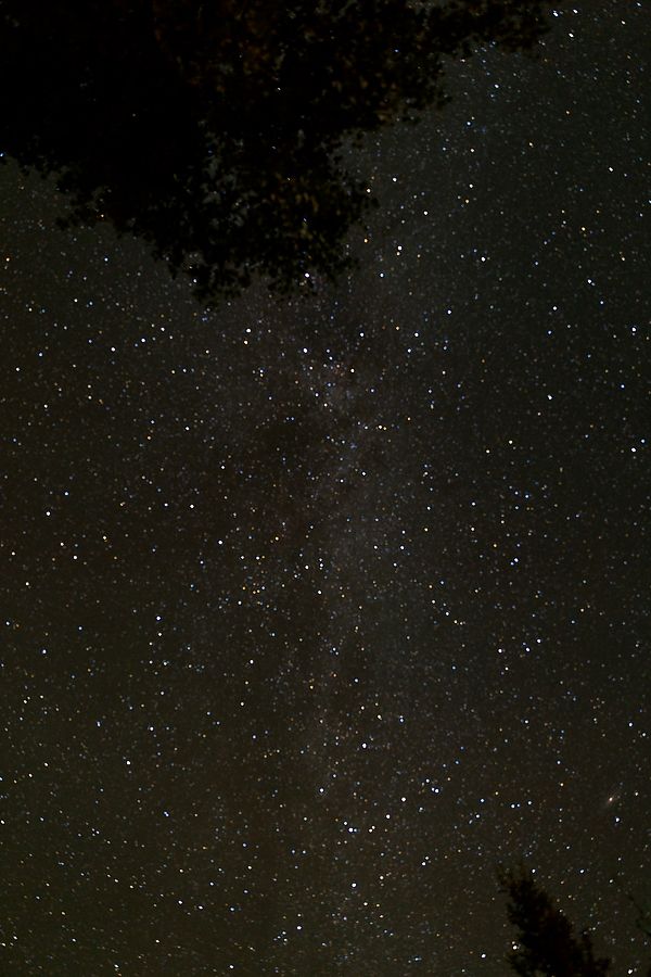 IMAGE: http://i33.photobucket.com/albums/d74/Zenon1/7D2/5D3/_S7A6453_zpsyql5yuxw.jpg~original