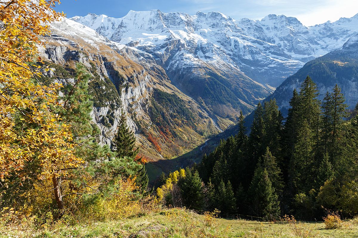 IMAGE: http://i33.photobucket.com/albums/d74/Zenon1/7D2/5D3/_S7A7252_zpsi06xttjt.jpg~original