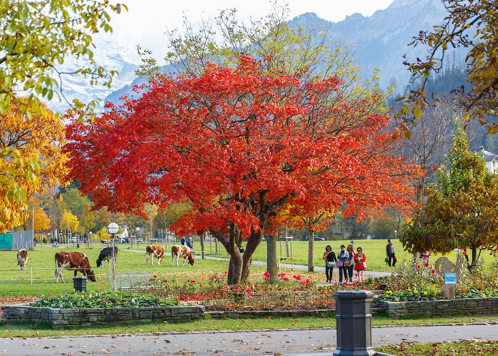 IMAGE: http://i33.photobucket.com/albums/d74/Zenon1/7D2/5D3/_S7A7429_zpsjmwffido.jpg~original