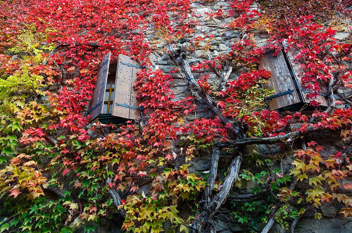 IMAGE: http://i33.photobucket.com/albums/d74/Zenon1/7D2/5D3/_S7A7586_zpsqtctrk66.jpg~original