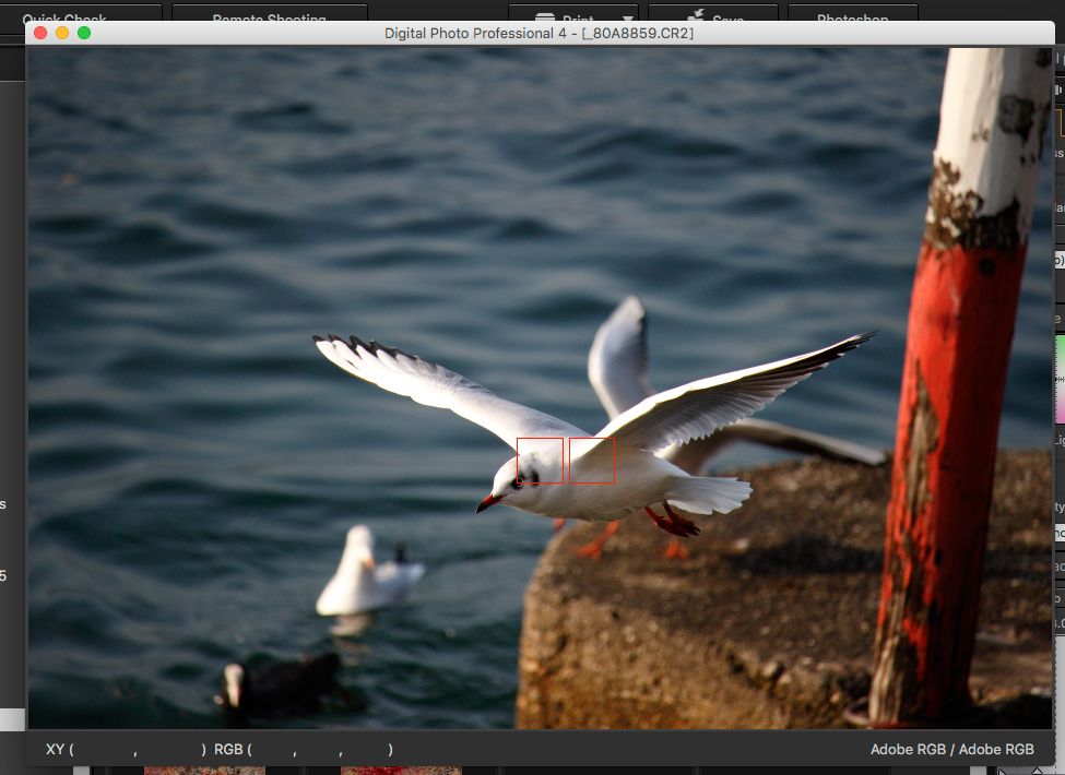 IMAGE: http://i33.photobucket.com/albums/d74/Zenon1/7D2/7D%20Zone%20samples/Screen-Shot-2015-11-18-at-8.15.41-AM_zpsyxdwmqmr.jpg~original