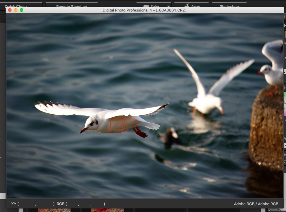 IMAGE: http://i33.photobucket.com/albums/d74/Zenon1/7D2/7D%20Zone%20samples/Screen-Shot-2015-11-18-at-8.15.59-AM_zpsy36lflvg.jpg~original