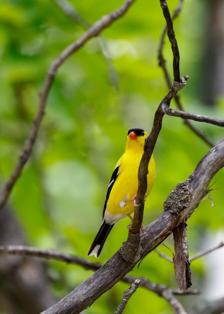 IMAGE: http://i33.photobucket.com/albums/d74/Zenon1/7D2/Fort%20white/_80A0568_zpsu42pknp8.jpg~original